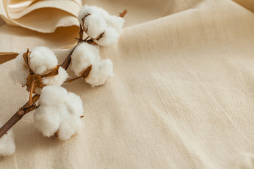 Cotton branch on cotton fabric