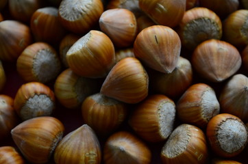 ripe collected hazelnuts on a table close up