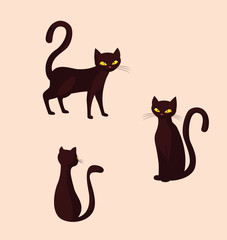 cats feline animals of halloween