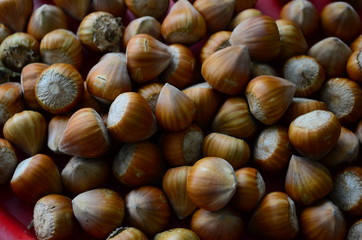 ripe collected hazelnuts on a table close up