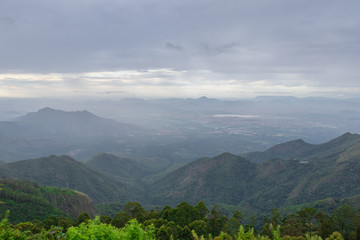 Mountain range in mist with forest