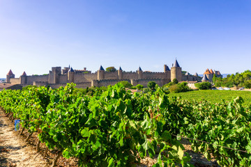Fototapeta na wymiar Champagne vineyards at Carcassonne