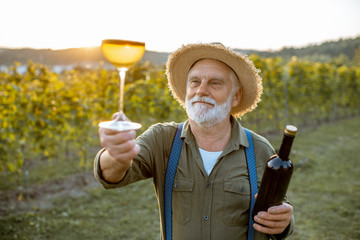 Portrait of a senior well-dressed winemaker checking the wine quality on the vineyard during a...