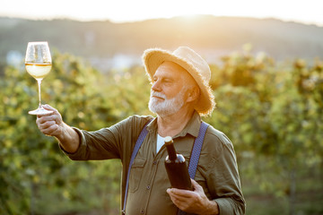 Portrait of a senior well-dressed winemaker checking the wine quality on the vineyard during a...