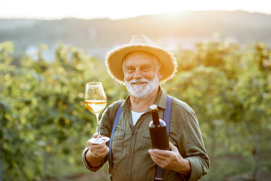 Portrait of a senior well-dressed winemaker checking the wine quality on the vineyard during a sunset. Concept of a winemaking in older age