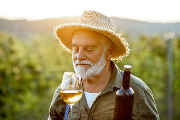 Portrait of a senior well-dressed winemaker checking the wine quality on the vineyard during a sunset. Concept of a winemaking in older age