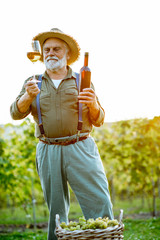 Portrait of a senior well-dressed winemaker checking the wine quality on the vineyard during a...
