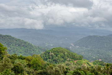 mountain covered with green forest and low cloud
