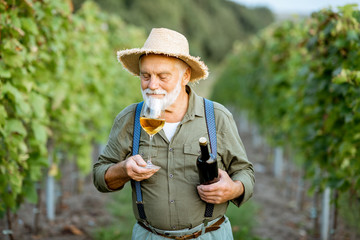 Portrait of a senior well-dressed winemaker checking wine quality, standing with wine glass and...