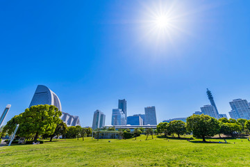 横浜 臨港パークの風景 芝生広場とビル群