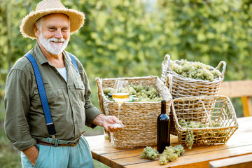 Portrait of a senior well-dreesed winemaker standing with wine glass near the table full of freshly...