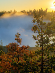 fog over the lake