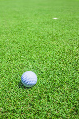 golf ball in green