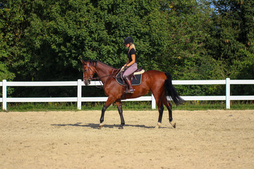 Horse with his young blond horsewoman riding in the riding arena in the sunshine..