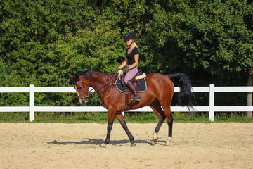 Horse with his young blond horsewoman riding in the riding arena in the sunshine..