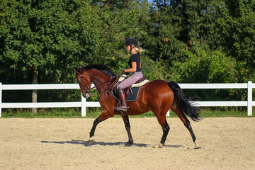 Horse with his young blond horsewoman riding in the riding arena in the sunshine..