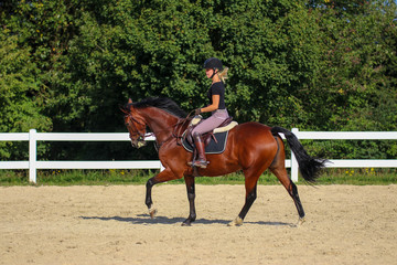 Horse with his young blond horsewoman riding in the riding arena in the sunshine..