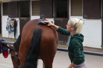 Horse is being brushed by a young blond girl, with a brush and hoof scraper..