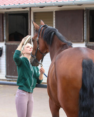Horse is being brushed by a young blond girl, with a brush and hoof scraper..