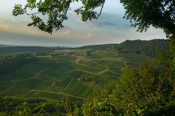 Chateau Chalon un seine Weinberge im Franche Comté in Frankreich