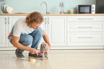 Man feeding cute funny cat in kitchen