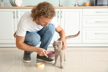 Man feeding cute funny cat in kitchen