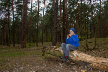 boy sitting in forest eating,a little boy alone in the woods dinner sitting on an old tree and eating chocolate