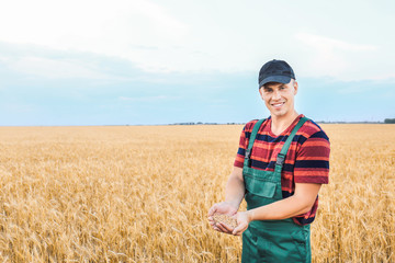 Naklejka na ściany i meble Male farmer with heap of wheat grains in field