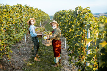 Portrait of a senior man with young woman holding baskets full of freshly picked up wine grapes on...