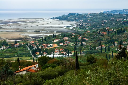 Salt fields "Secoveljske soline", Slovenia.