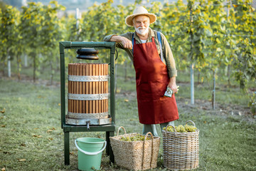 Portrait of a senior well-dressed winemaker standing near the winepress machine and baskets full of...