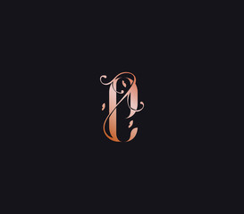 E letter Luxury Logo template flourishes calligraphic elegant element