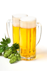 Two glass mugs with transparent beer with bubbles and sprig of hops stand on a white table .