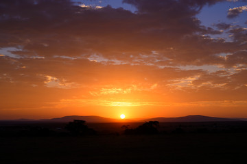 Sunset view in savannah Masai mara ,Kenya.