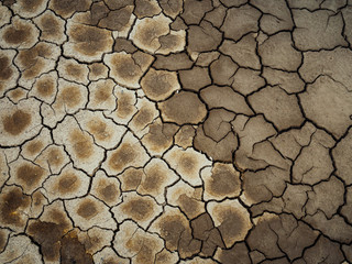 Cracks in the drying earth. Drying of the lake