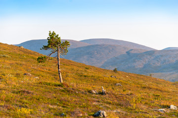 Misty mountain landscape