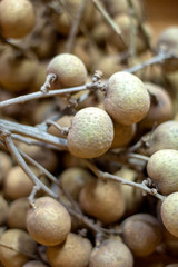 longan. fresh longan on white background