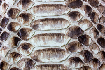 the background of the beautiful natural tanned leather reticulated Python