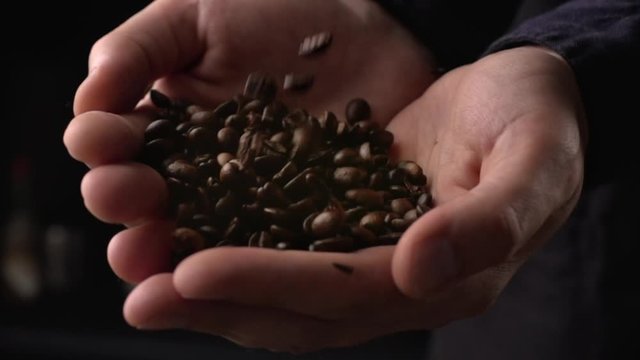 Coffee beans falling on man's hand in slow motion, quality control of seeds, barista prepare ingredients for work
