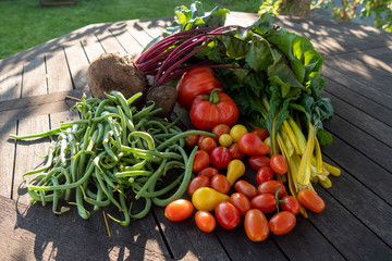 organic vegetables from garden, beans, beets, chard
