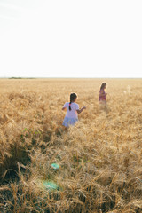 Two little girls walk on a wheat field at sunset. Vacation, summer or autumn evening.