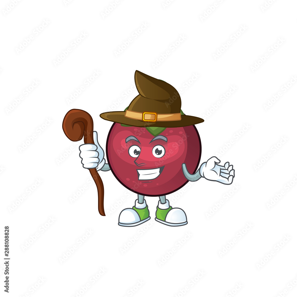 Canvas Prints Witch mangosteen fruit cartoon character isolated on mascot