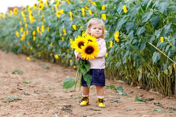Cute adorable toddler girl on sunflower field with yellow flowers. Beautiful baby child with blond...