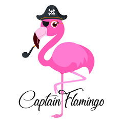 cute Captain flamingo, vector illustration