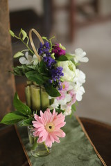 a flowers plant garden green 