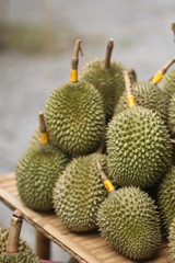 a durian fruit cactus green food