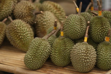 a durian fruit cactus green food