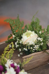 a flowers plant garden green 