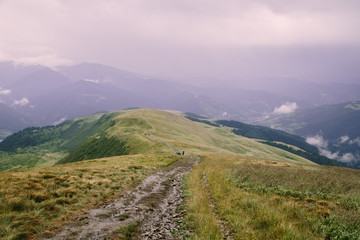 Fototapeta premium Foggy landscape near Blyznytsya mountain in the Carpathian mountains