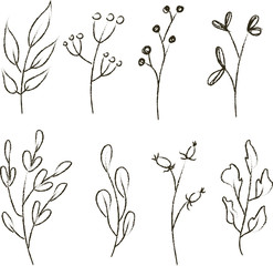 Vector autumn cute twigs set in minimalistic nordic style. Pencil outline. Drawn by hand.